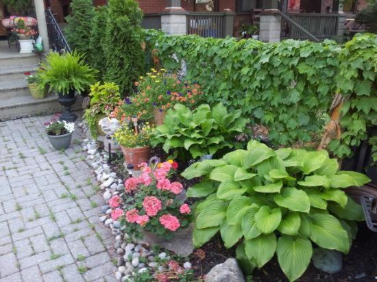 A Hidden Gem Bed&Breakfast Windsor Exterior foto
